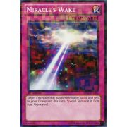 Miracle's Wake