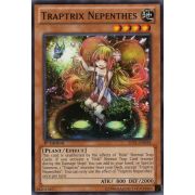 JOTL-EN034 Traptrix Nepenthes Commune