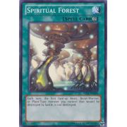 AP01-EN020 Spiritual Forest Commune