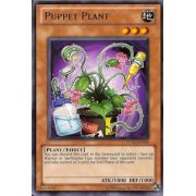 TU05-EN006 Puppet Plant Rare