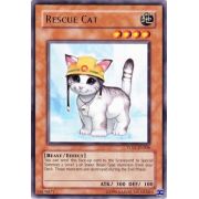 TU01-EN008 Rescue Cat Rare