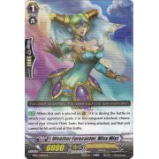 EB05/014EN Weather Forecaster, Miss Mist Rare (R)