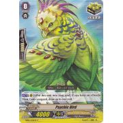 EB05/034EN Psychic Bird Common (C)