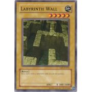 DB1-EN035 Labyrinth Wall Commune