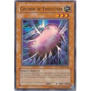 DB1-EN148 Cocoon of Evolution Commune