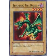 DB2-EN036 Blackland Fire Dragon Commune