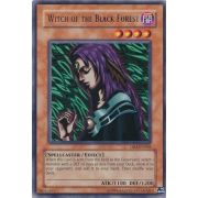 DB2-EN066 Witch of the Black Forest Rare