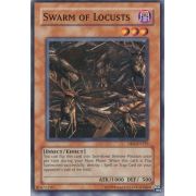 DB2-EN222 Swarm of Locusts Commune