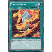 LCJW-FR062 Salamandra Commune