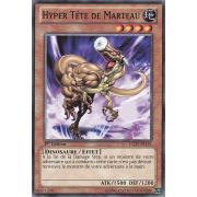 LCJW-FR151 Hyper Tête de Marteau Commune