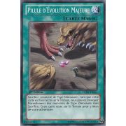 LCJW-FR161 Pilule d'Évolution Majeure Commune