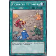 LCJW-FR164 Recherche de Fossiles Commune