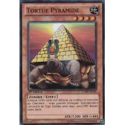LCJW-FR189 Tortue Pyramide Super Rare