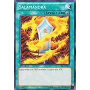 LCJW-EN062 Salamandra Commune