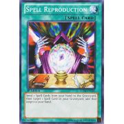 LCJW-EN101 Spell Reproduction Commune