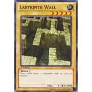 LCJW-EN220 Labyrinth Wall Commune
