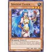 LCJW-EN239 Shadow Tamer Rare