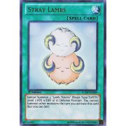 LCJW-EN289 Stray Lambs Ultra Rare