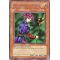 DLG1-EN034 Magician of Faith Rare