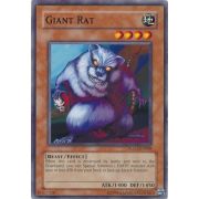 DLG1-EN068 Giant Rat Commune