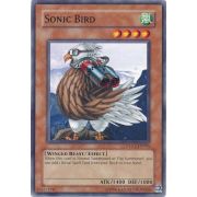 DLG1-EN076 Sonic Bird Commune