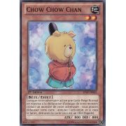 SHSP-FR002 Chow Chow Chan Commune