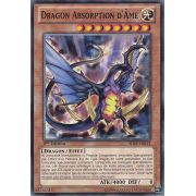 SHSP-FR013 Dragon Absorption d'Âme Commune