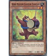 SHSP-FR015 Bébé Raton Laveur Tantan Commune