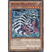 SHSP-FR026 Bujingi Mille-Pattes Commune