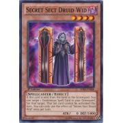 SHSP-EN008 Secret Sect Druid Wid Commune