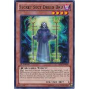 SHSP-EN009 Secret Sect Druid Dru Commune