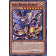 SHSP-EN013 Soul Drain Dragon Commune