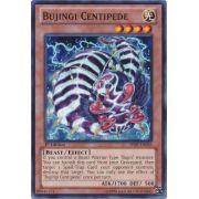 SHSP-EN026 Bujingi Centipede Commune