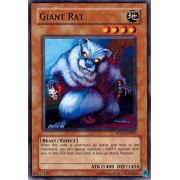 RP01-EN067 Giant Rat Commune