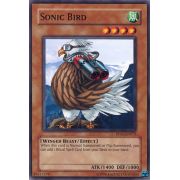 RP01-EN075 Sonic Bird Commune