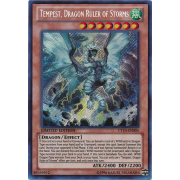 CT10-EN004 Tempest, Dragon Ruler of Storms Secret Rare
