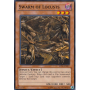 AP03-EN017 Swarm of Locusts Commune