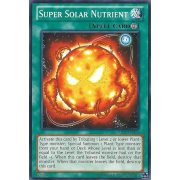 AP03-EN024 Super Solar Nutrient Commune