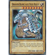 YSKR-FR001 Dragon Blanc aux Yeux Bleus Commune