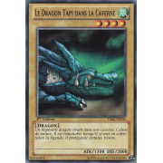 YSKR-FR006 Le Dragon Tapi dans la Caverne Commune