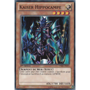 YSKR-FR016 Kaiser Hippocampe Commune