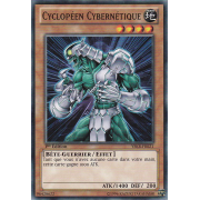 YSKR-FR021 Cyclop&eacute;en Cybern&eacute;tique Commune