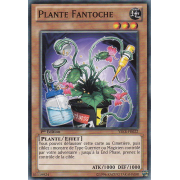 YSKR-FR022 Plante Fantoche Commune