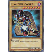 YSYR-FR001 Magicien Sombre Commune