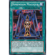 YSYR-FR033 Dimension Magique Commune