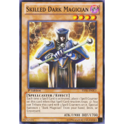 YSYR-EN013 Skilled Dark Magician Commune