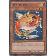 STOR-EN031 Wattberyx Rare