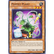 YSKR-EN022 Puppet Plant Commune