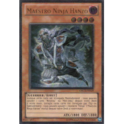 Maestro Ninja Hanzo