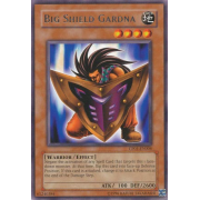 CP01-EN006 Big Shield Gardna Rare